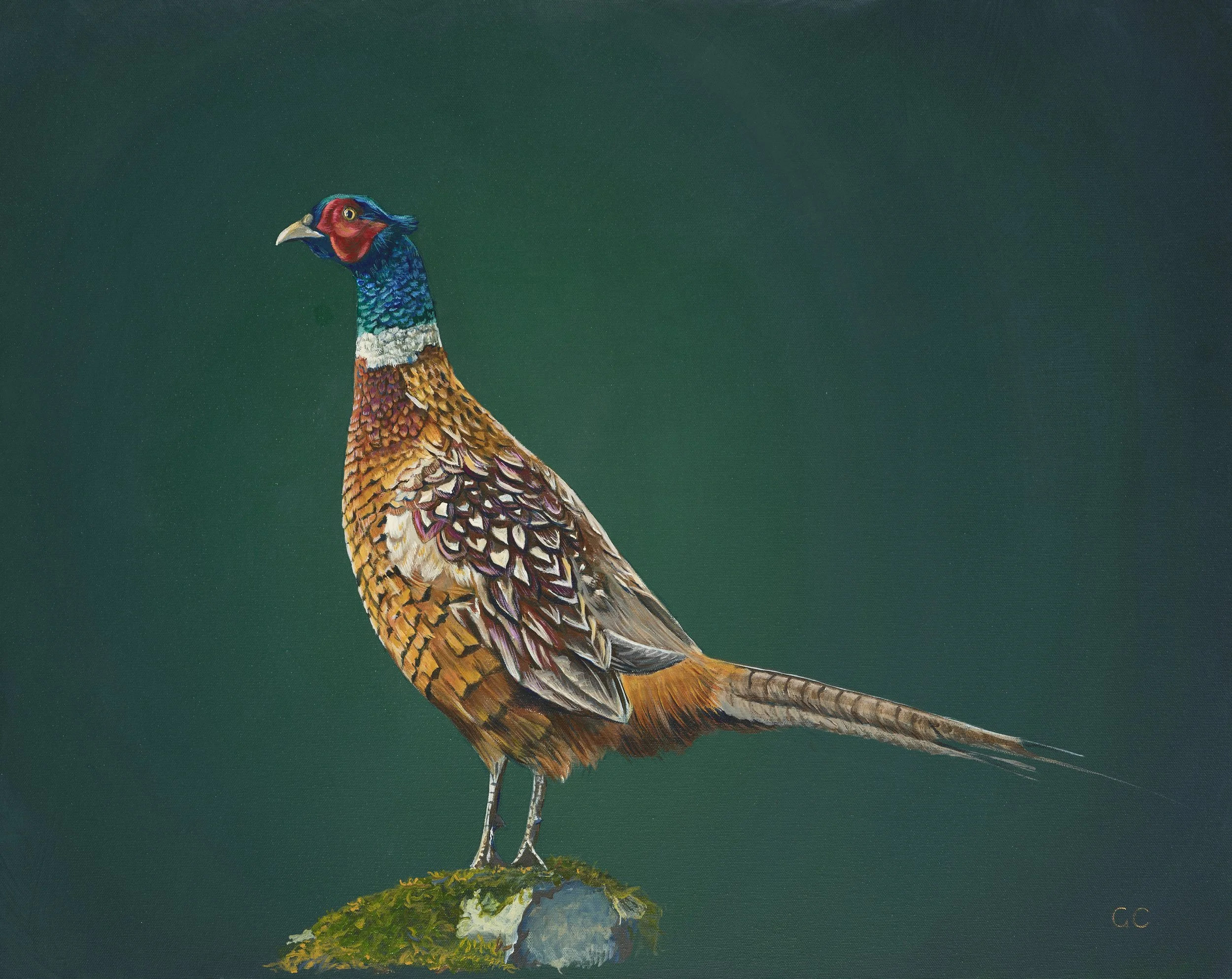 Male Pheasant_Green.jpg