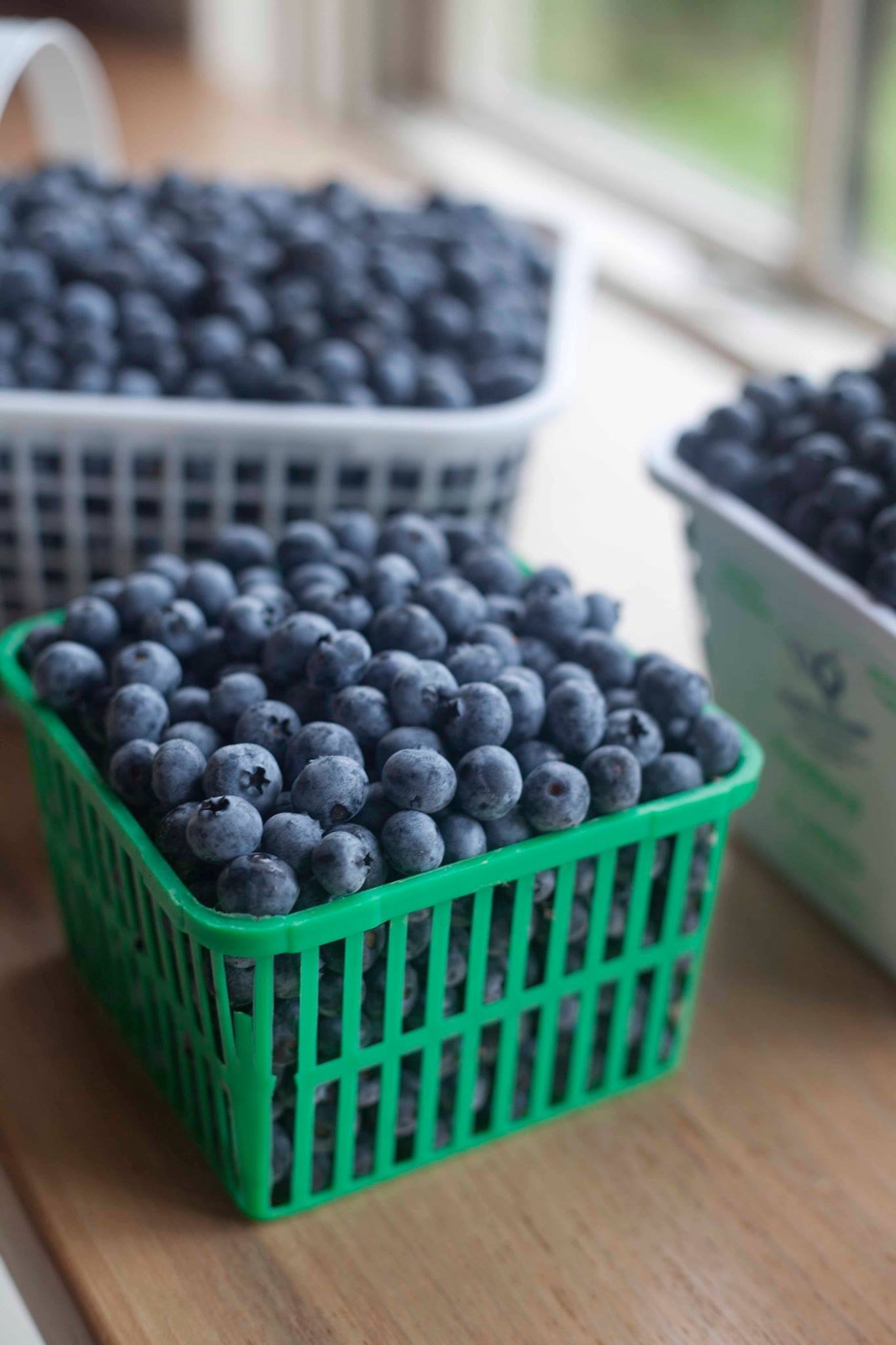 4L Frozen Blueberries