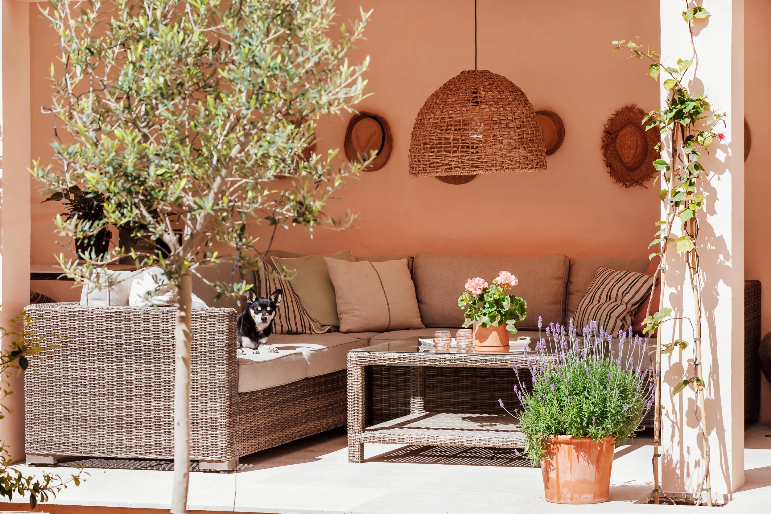 A cozy outdoor patio with rattan furniture, a beige couch with striped and solid pillows, a wicker coffee table with candles, and potted plants including lavender and a flowering vine on a trellis. A large woven pendant light hangs on the peach-colored wall, decorated with hats. A small black and white dog is sitting on the couch.