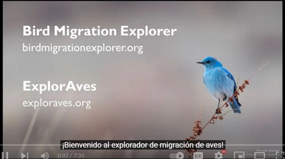 Bird Migration Explorer Takes Flight Learn about bird migration with