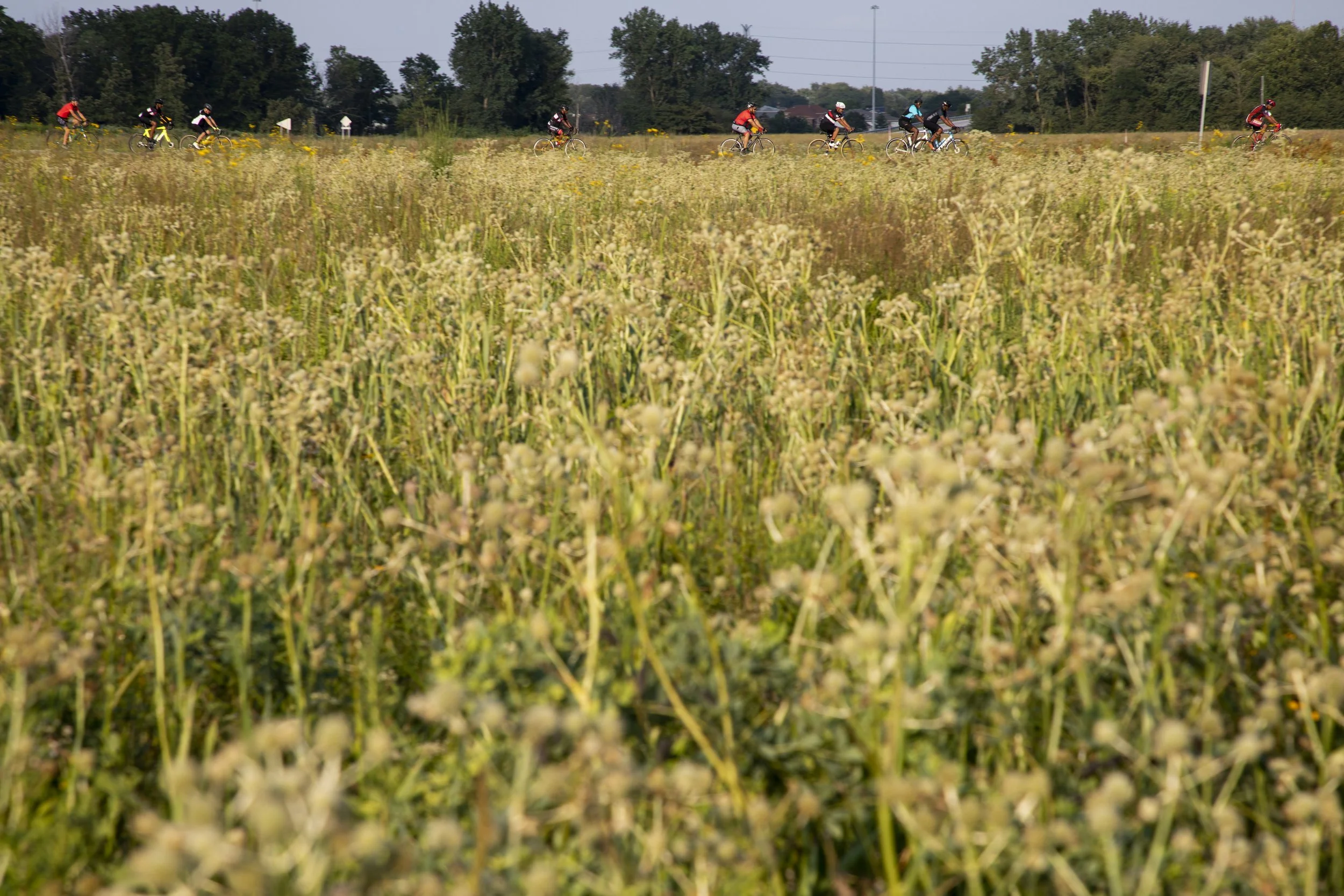 Birding by Bike: Lake Nokomis to Fort Snelling State Park