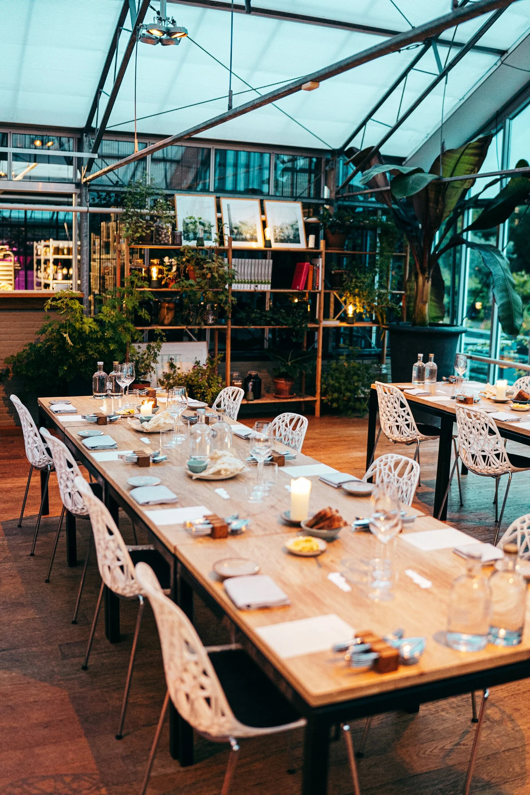 Interior of Restaurant De Kas in Amsterdam showing diners in a light-filled greenhouse setting with lush greenery