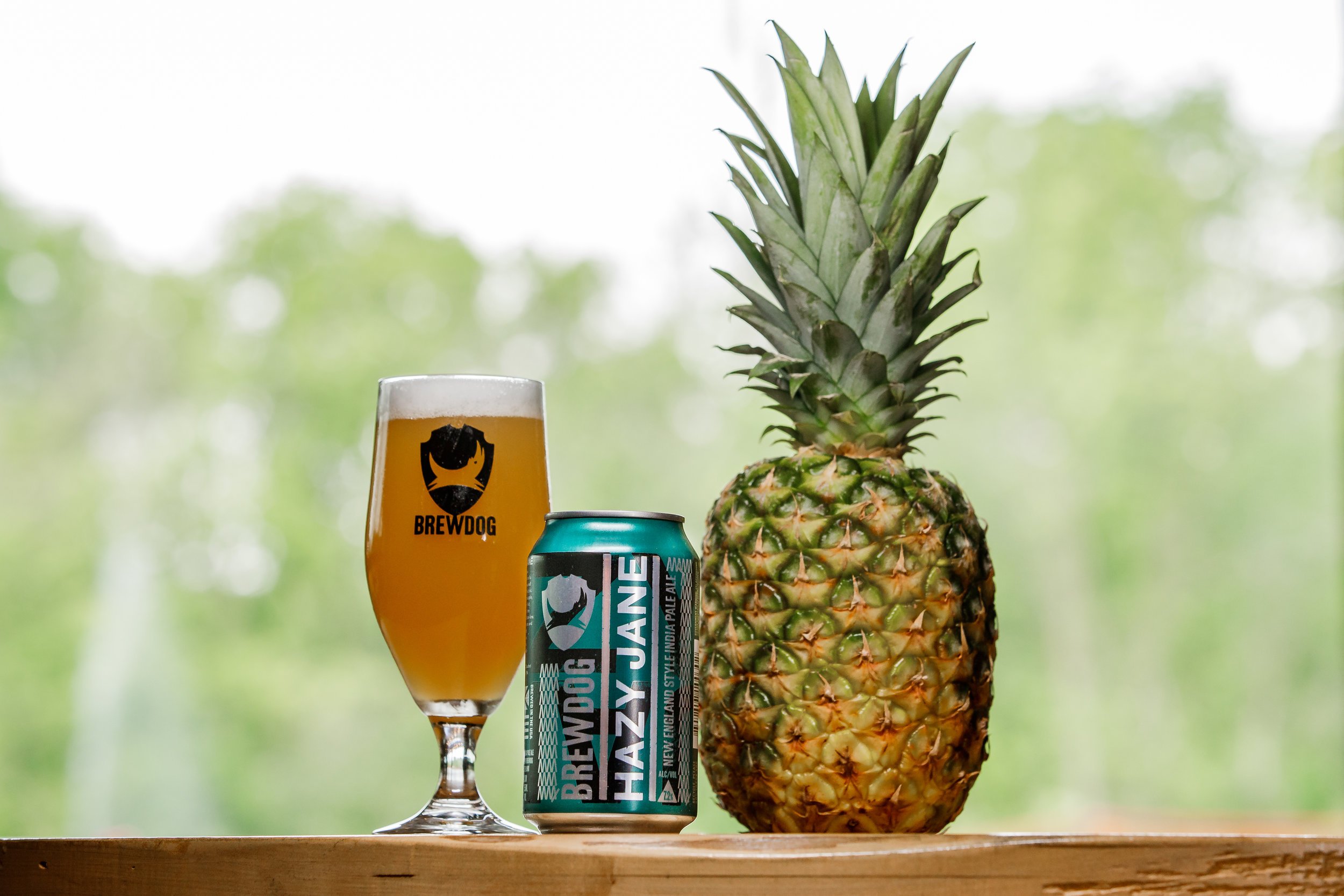 Brewdog USA Branding and Product Photography — Professional