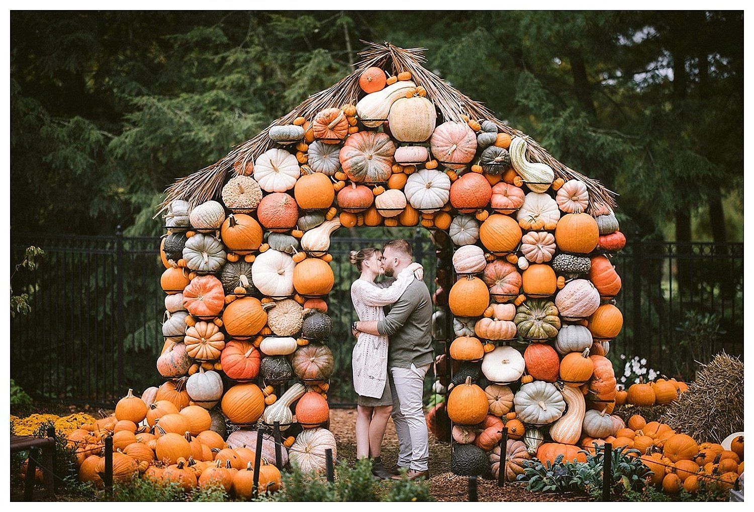 Fall Engagement Photos at Franklin Park Conservatory Gourd House