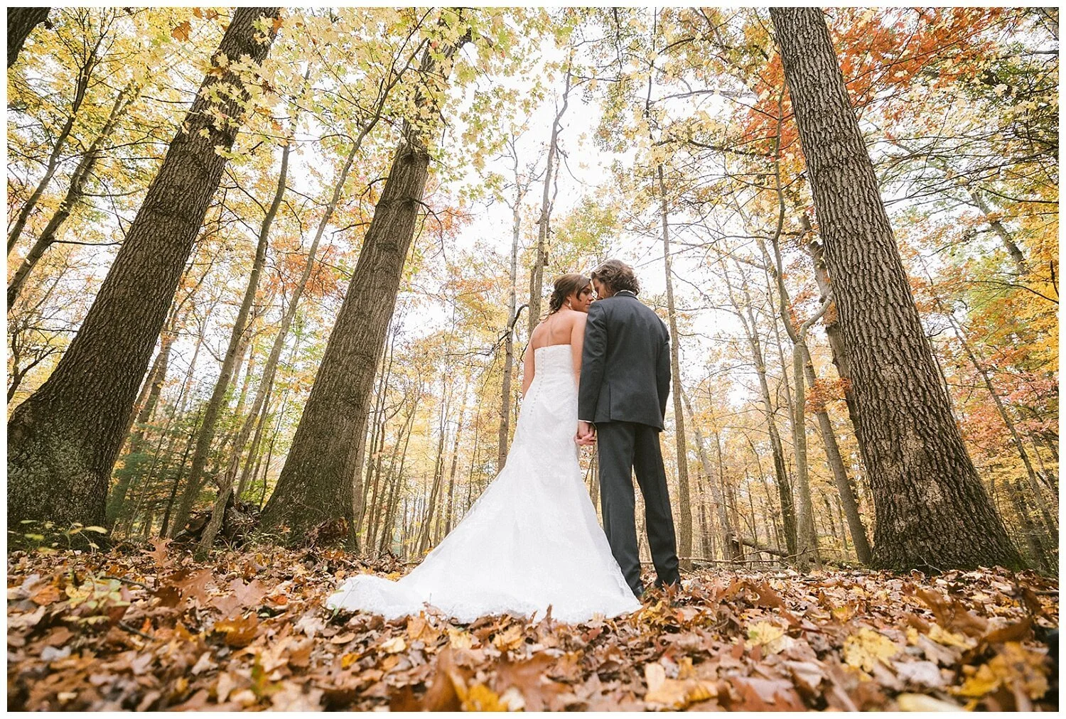  Photo: Robb McCormick Photography - https://www.robbmccormick.com 