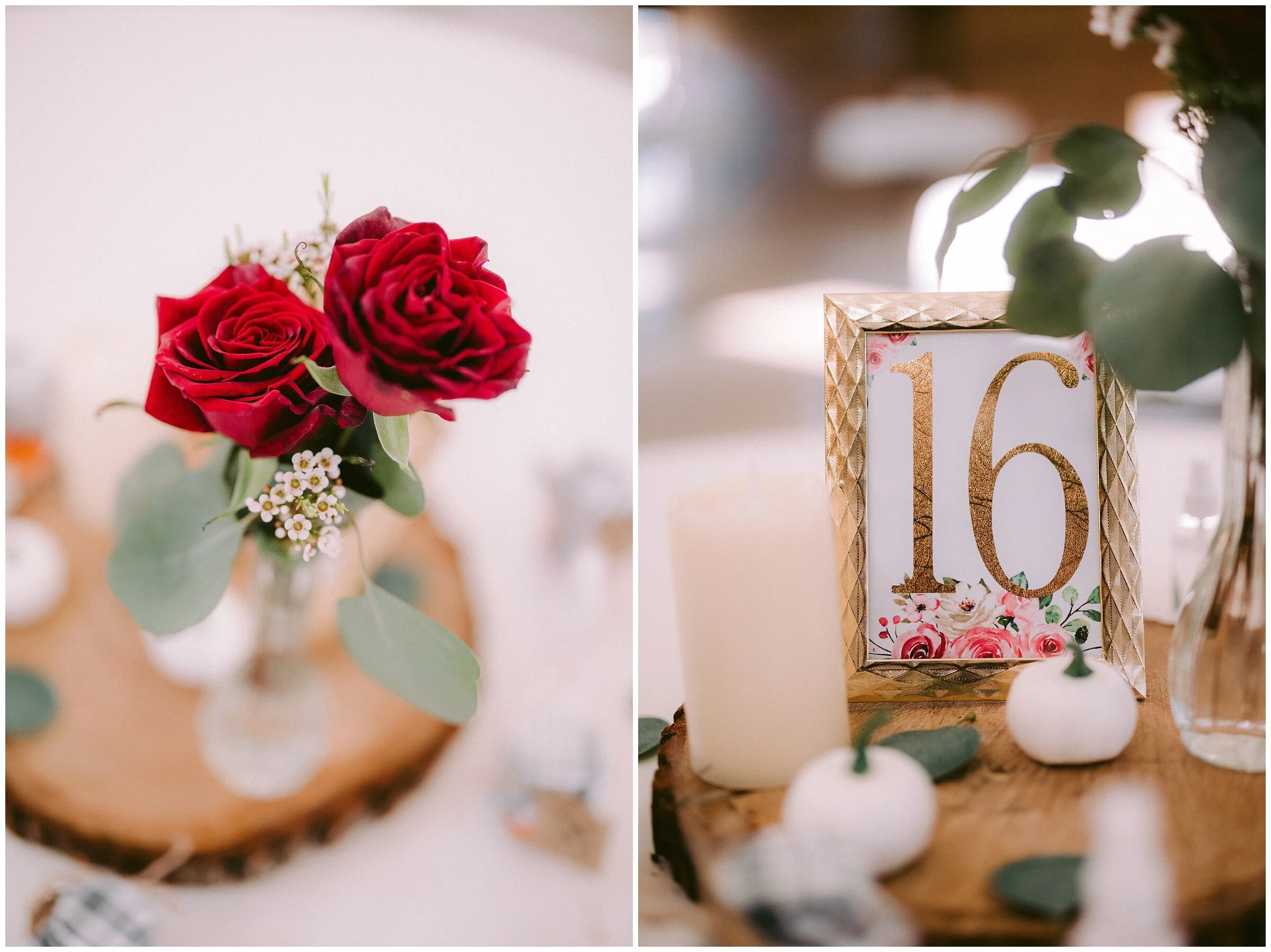  Photo: Robb McCormick Photography - https://www.robbmccormick.com 