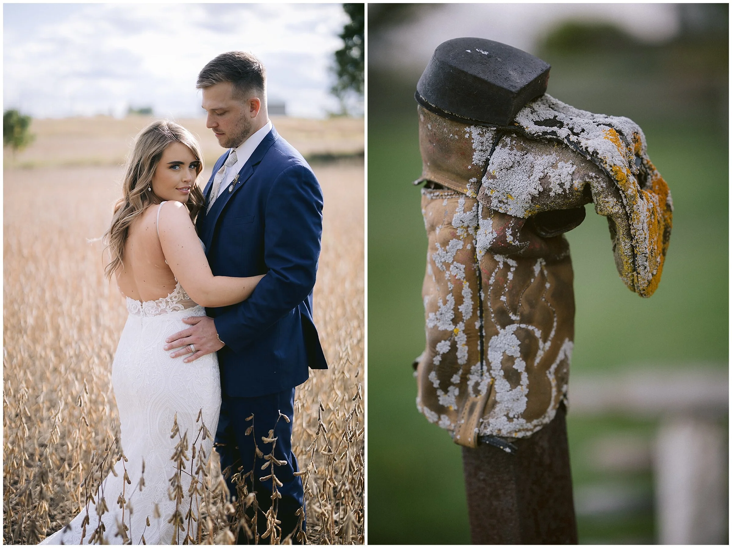  Photo: Robb McCormick Photography - https://www.robbmccormick.com 