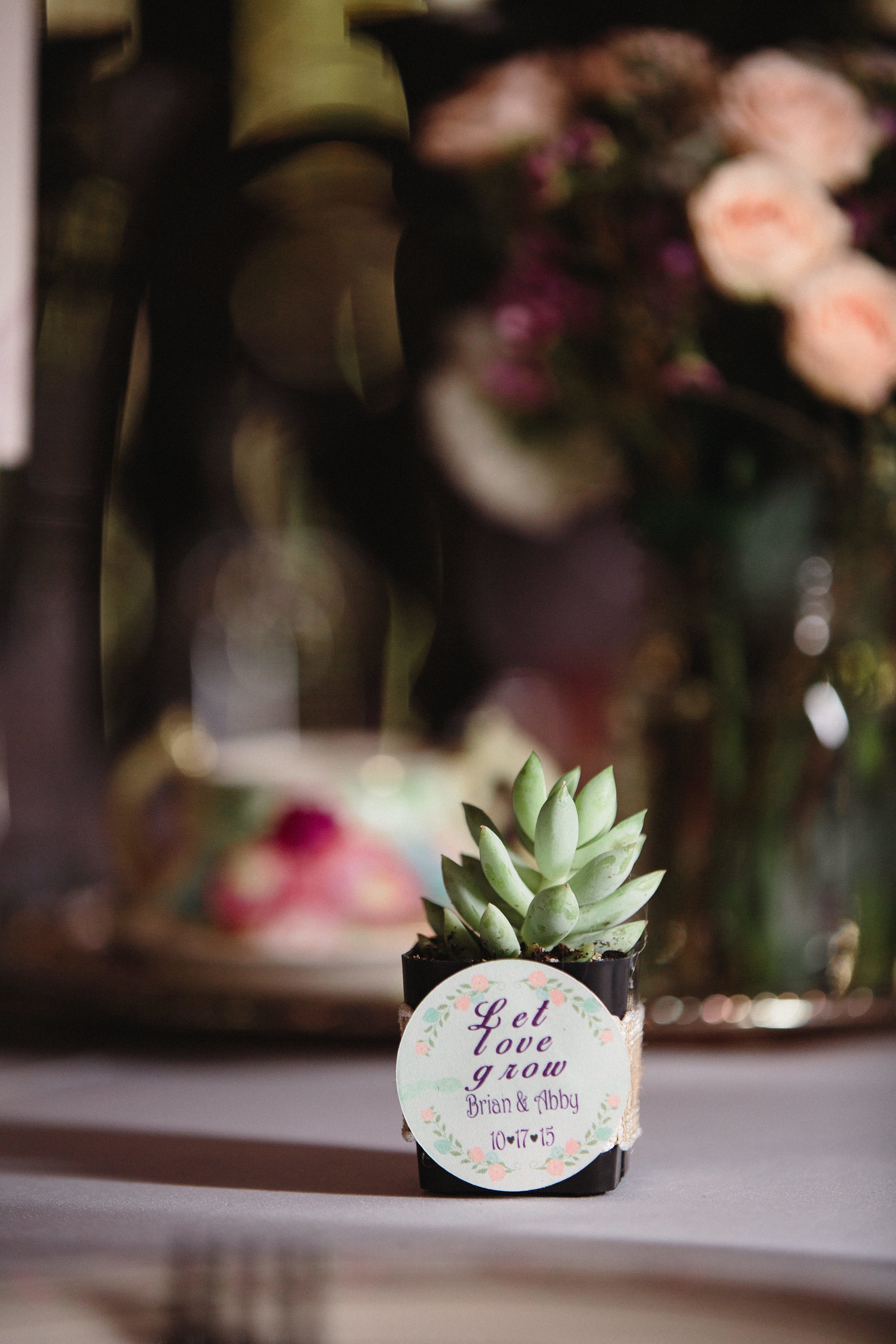  Wedding Photography of Abby and Brian at Canyon Run Ranch. 