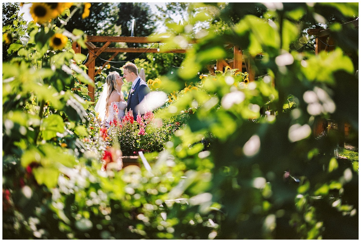  A bride and groom posing for wedding photos at the Farm at Harvest Hills.  They are framed by beautiful greenery and plants. 