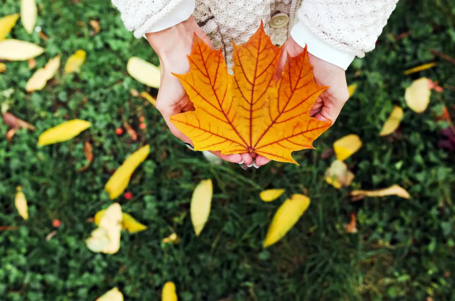 The Best Skin Treatments to Book Before Fall in Mount Pleasant, SC