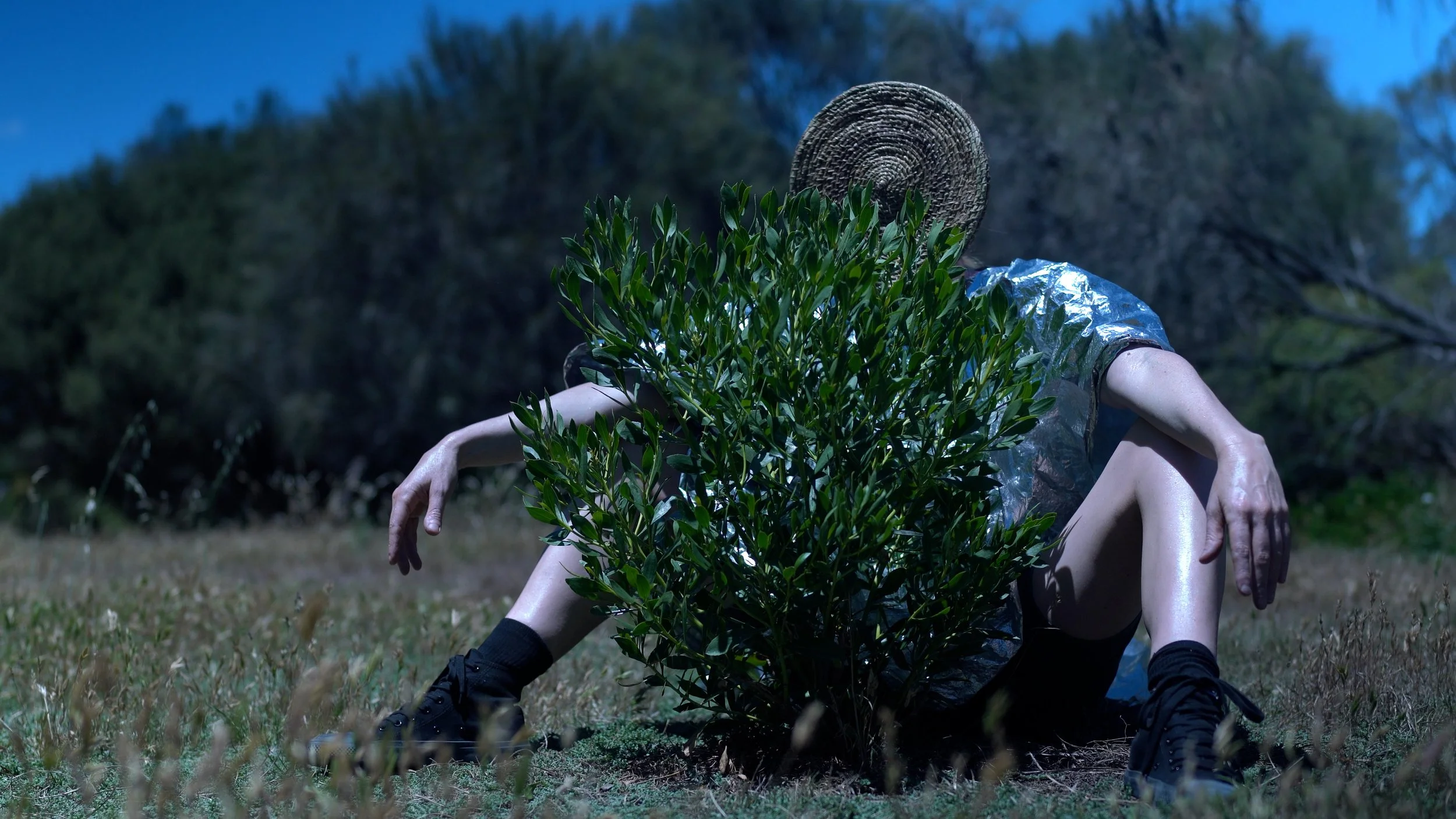 NoEdge_Bush_2.jpg