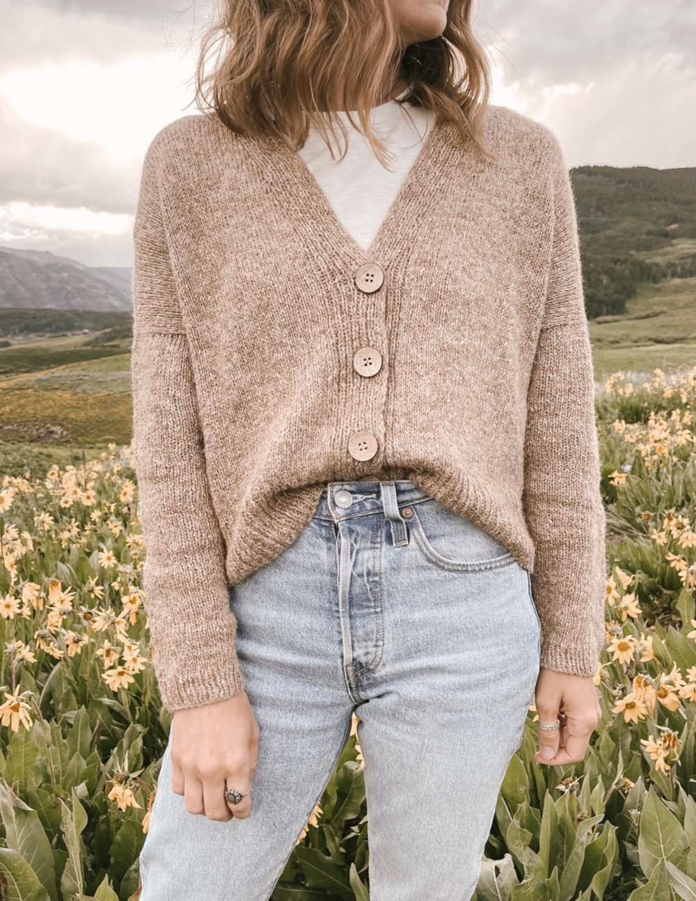 Ozetta - Field Day Cardigan.png