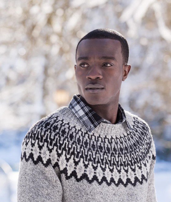 Brooklyn Tweed - Atlas Pullover.jpg