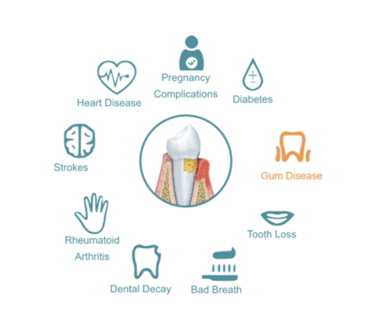 Screen+Shot+2022-08-01+at+3.24.21+PM (1).png