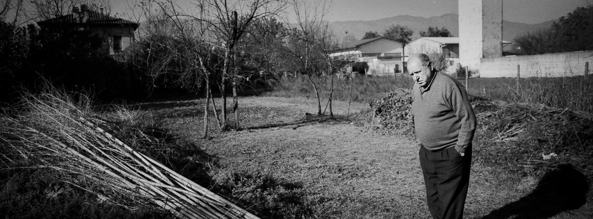 Sqweb_rootsselection535_ .JPG