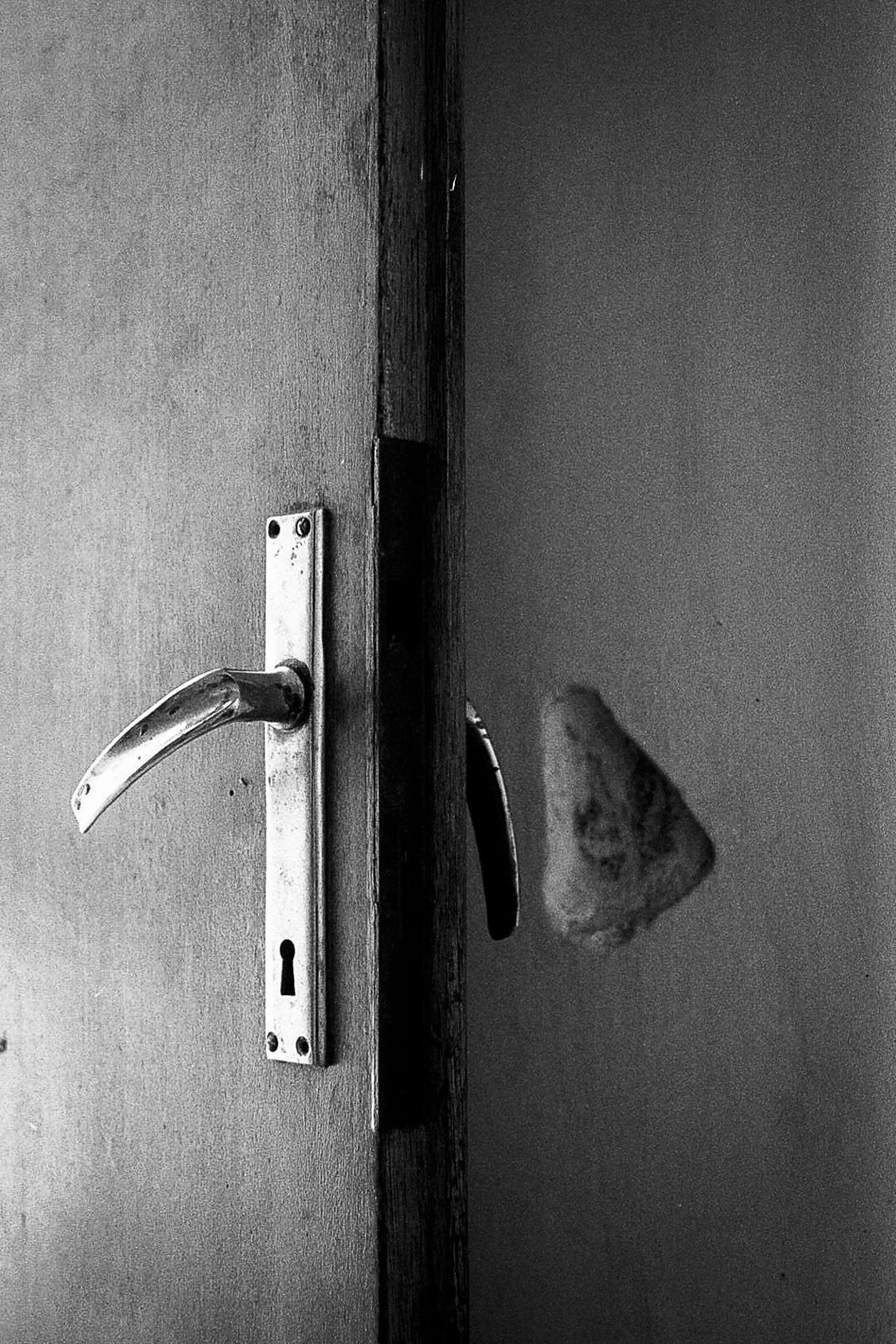 Sqweb_rootsselection539_ .JPG