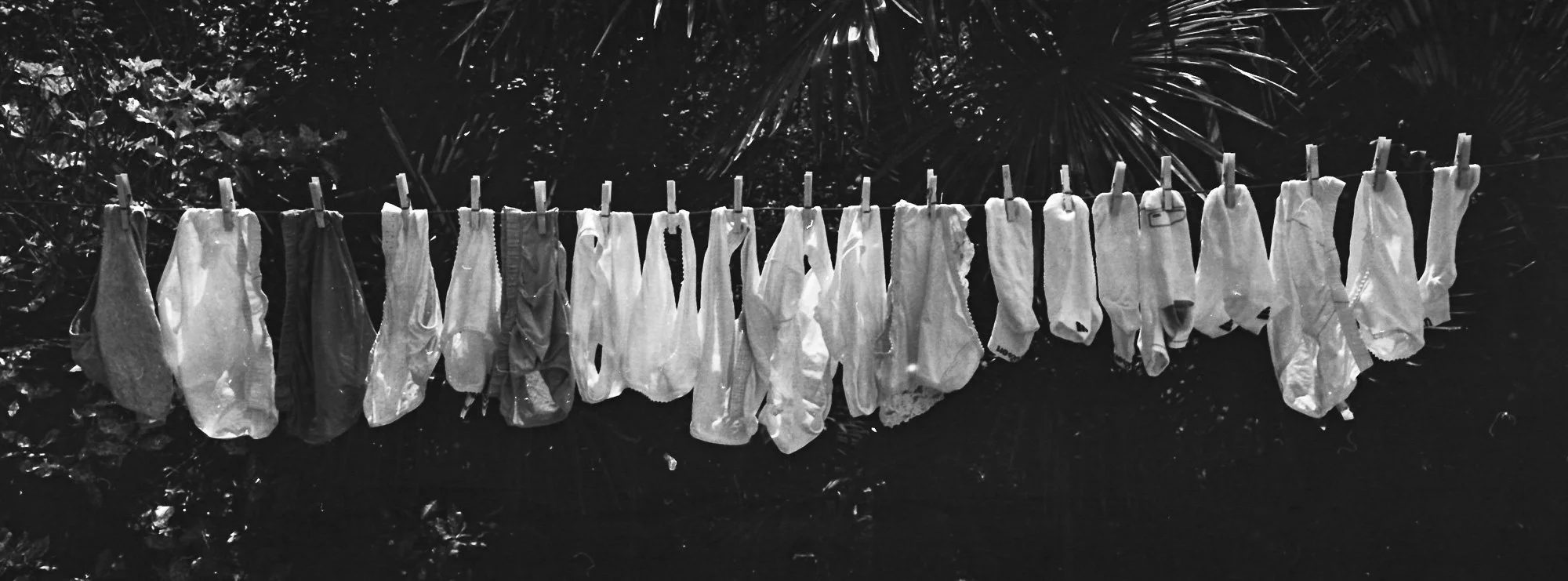 Sqweb_rootsselection532_ .JPG