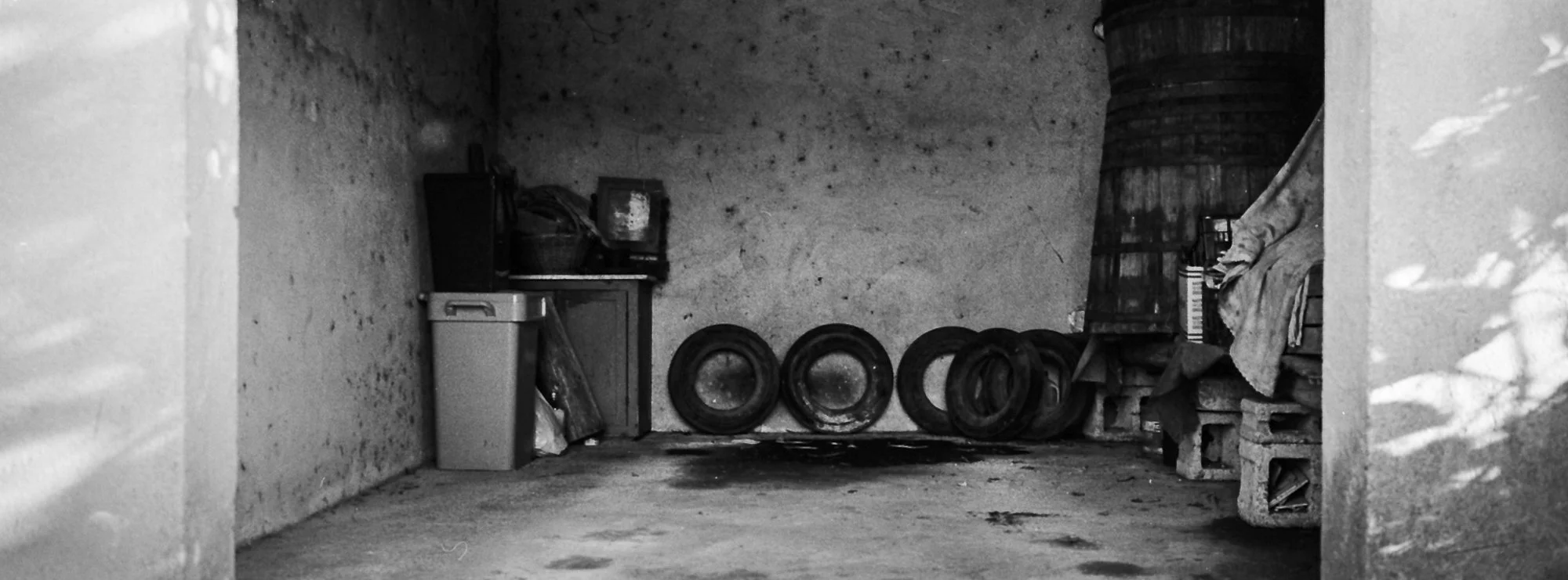 Sqweb_rootsselection537_ .JPG