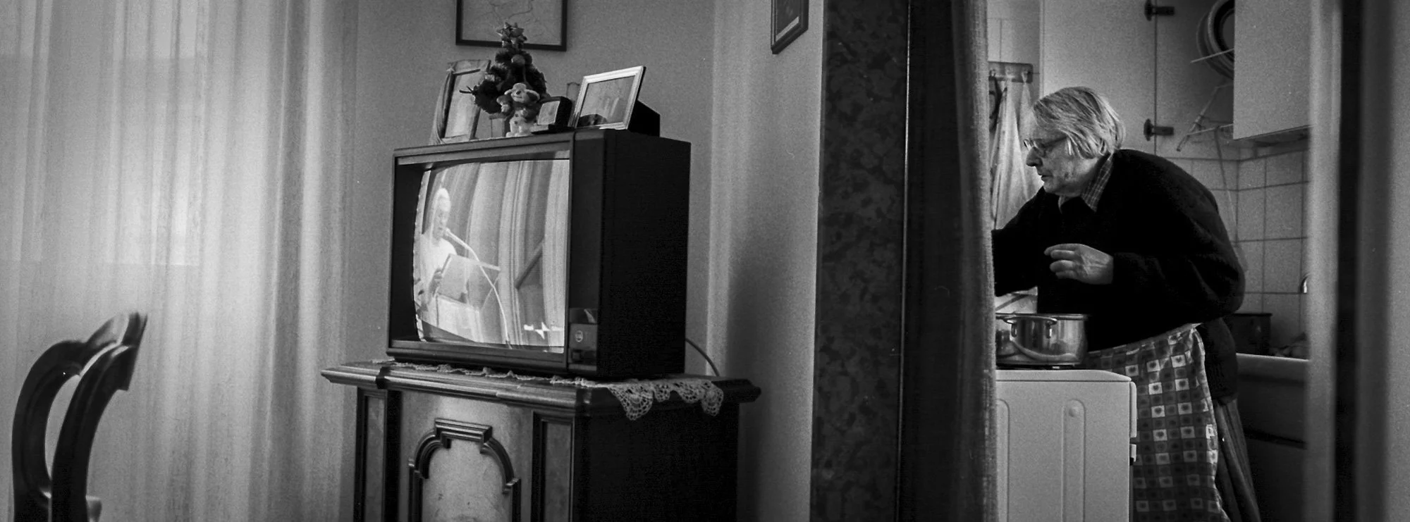 Sqweb_rootsselection519_ .JPG