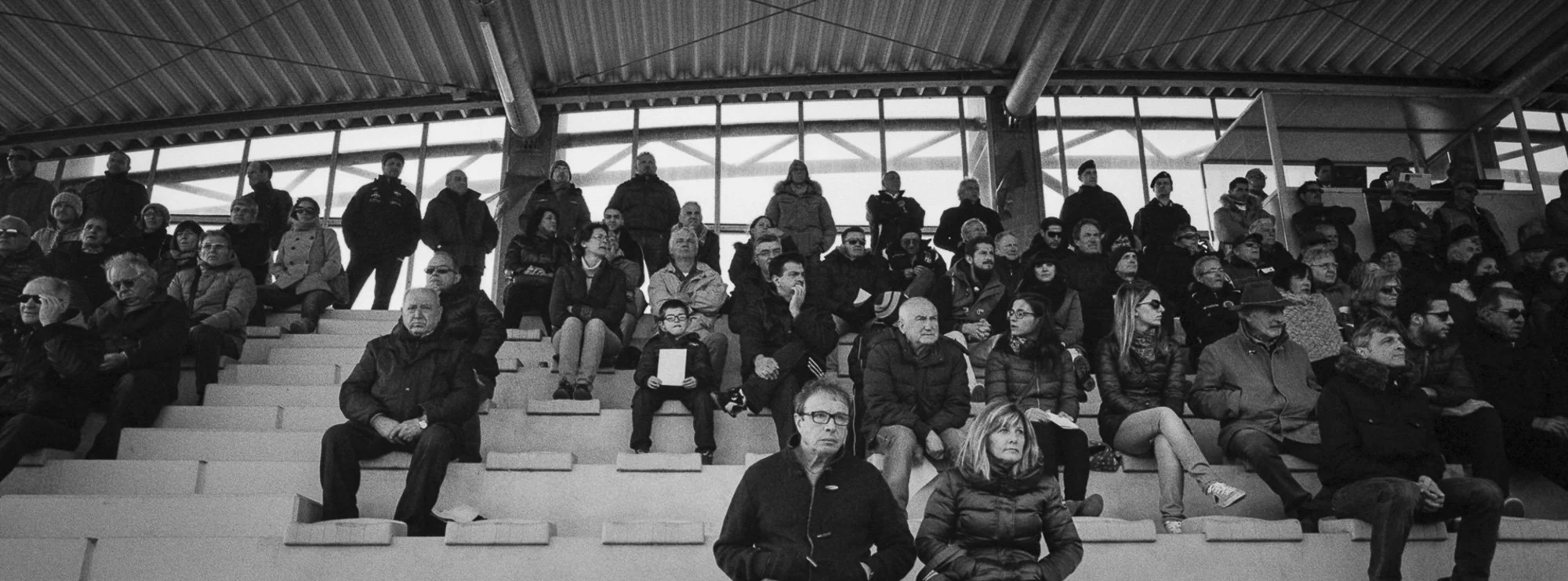 Sqweb_rootsselection533_ .JPG