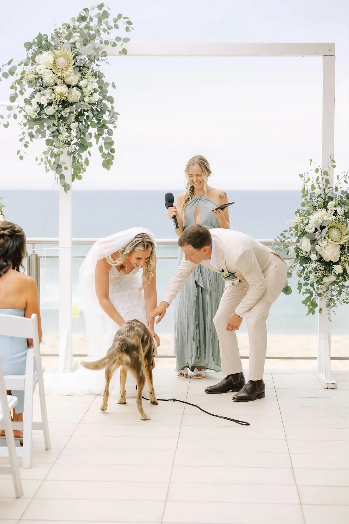 Wedding Ceremonies with dogs