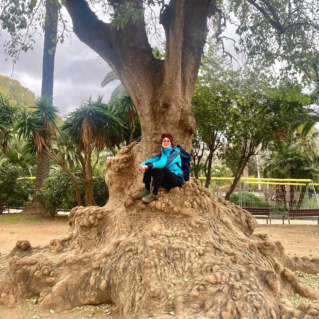 Domani mattina alle ore 8:15 sar&ograve; ospite del programma #caffellatte di @telesvevaofficial . 
Racconter&ograve; di #picchecause e della mia partecipazione al festival @sonoro_sud .
Ci vediamo domani a colazione! 🥞🥝🫖☕️

@as_asteriaspace