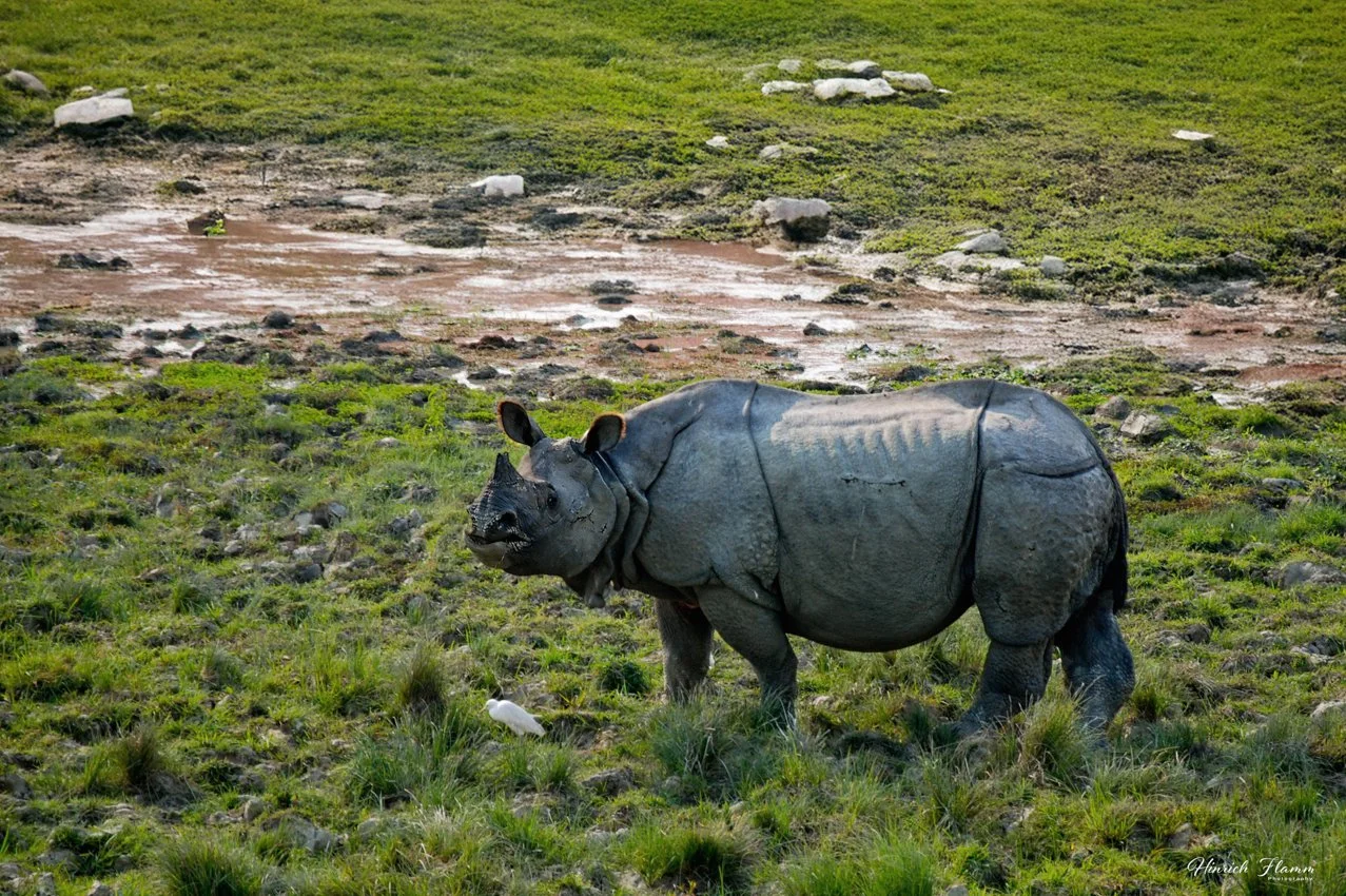 DSC_0062-2 copy 2.jpg