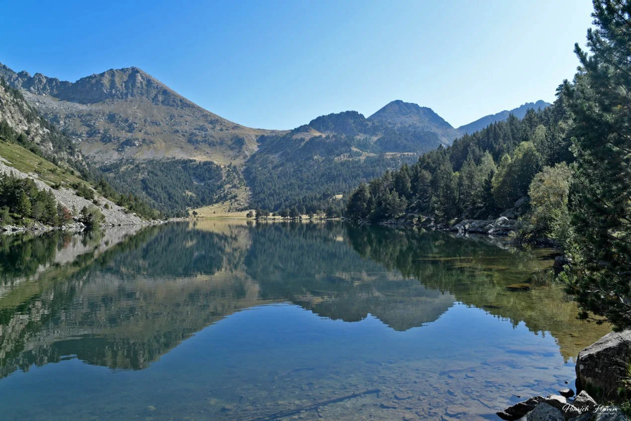 _85H2660 copy - Copy.jpg