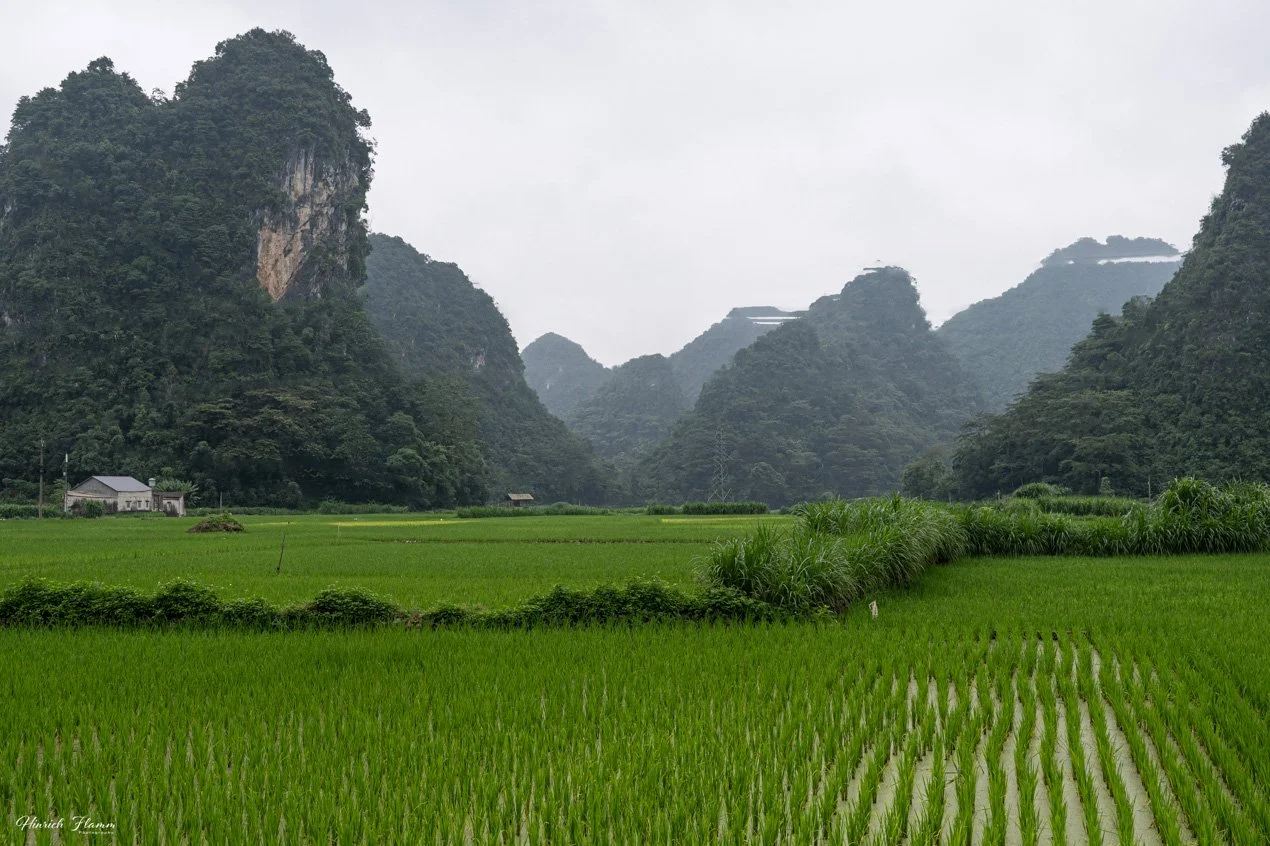 _DSC3777 copy.jpg