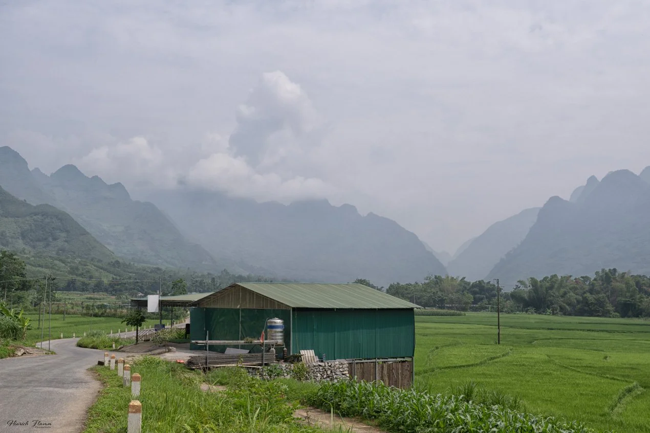 _DSC3396 copy.jpg
