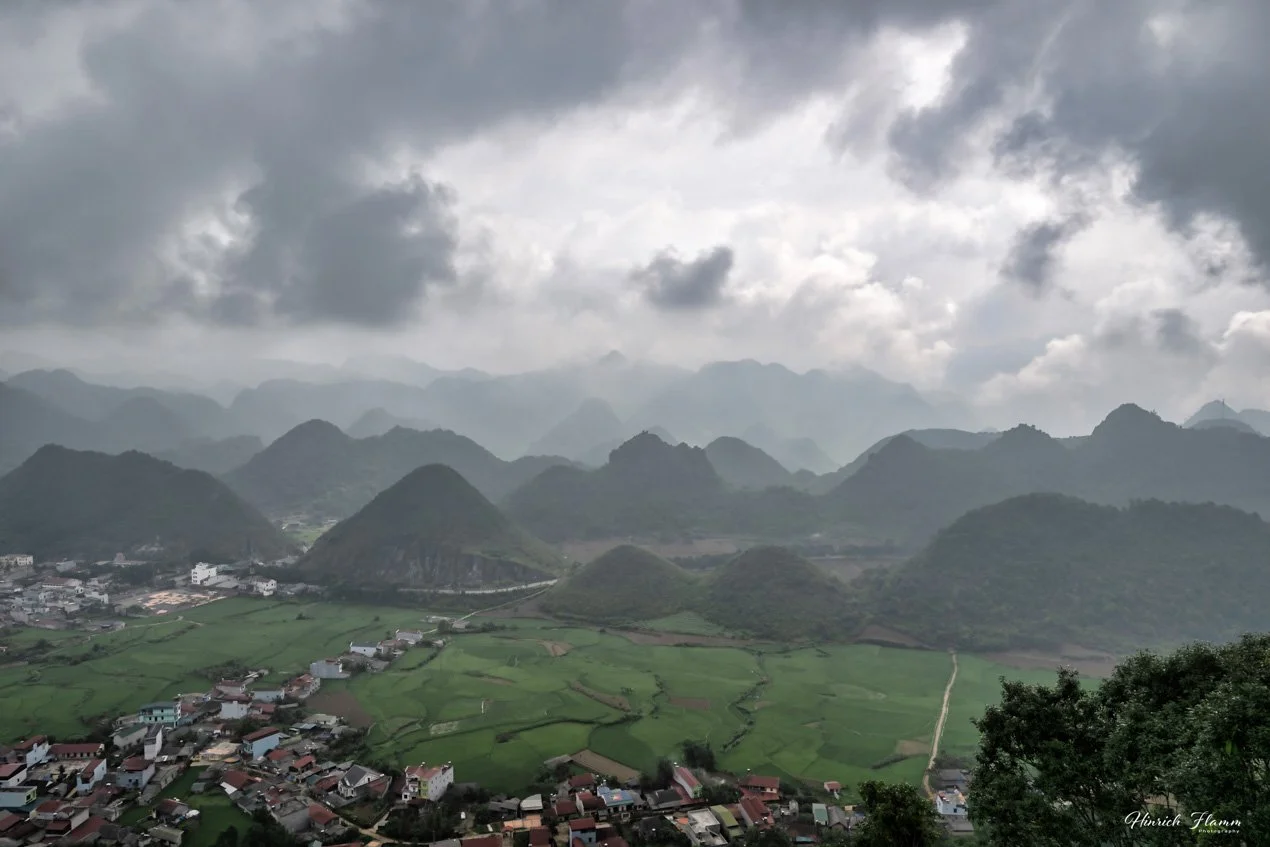 _DSC3378 copy 2.jpg