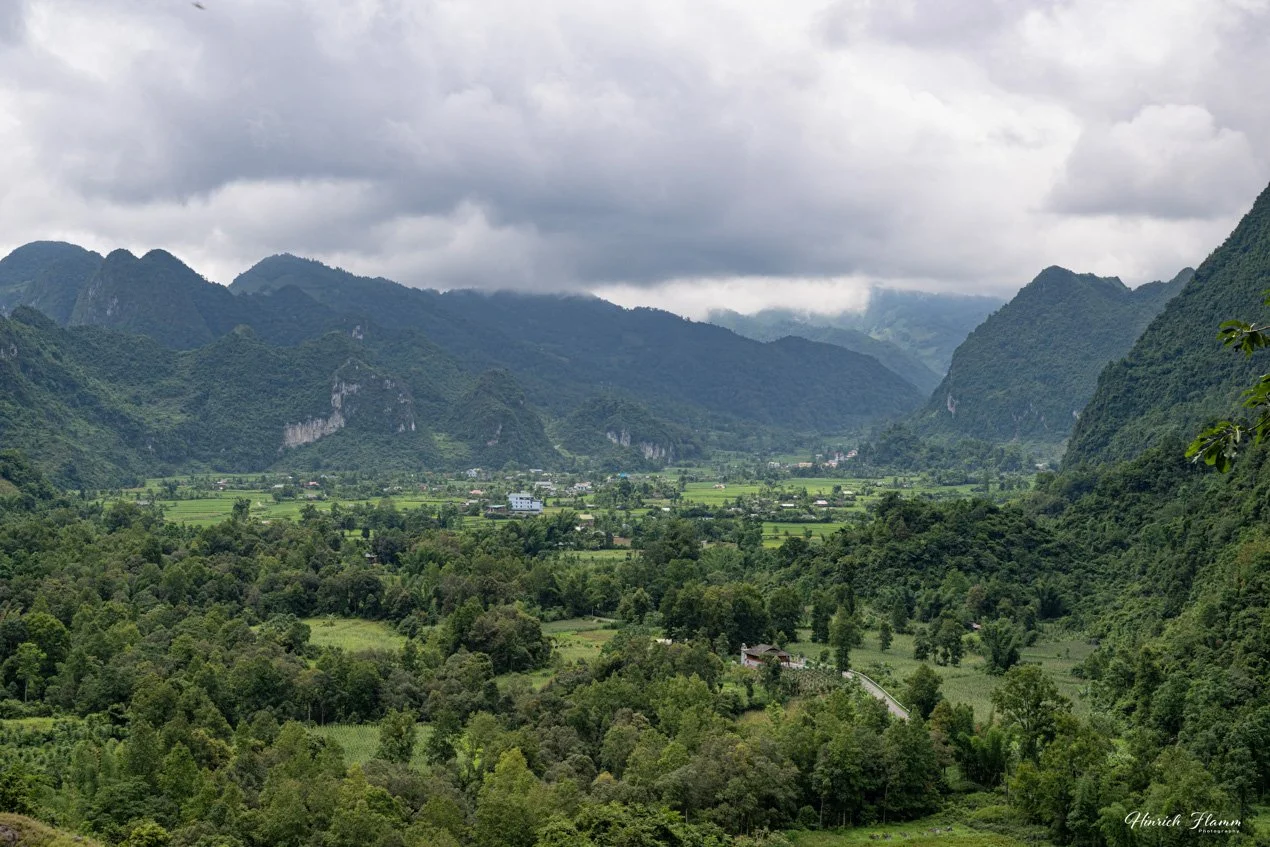 _DSC3718 copy.jpg