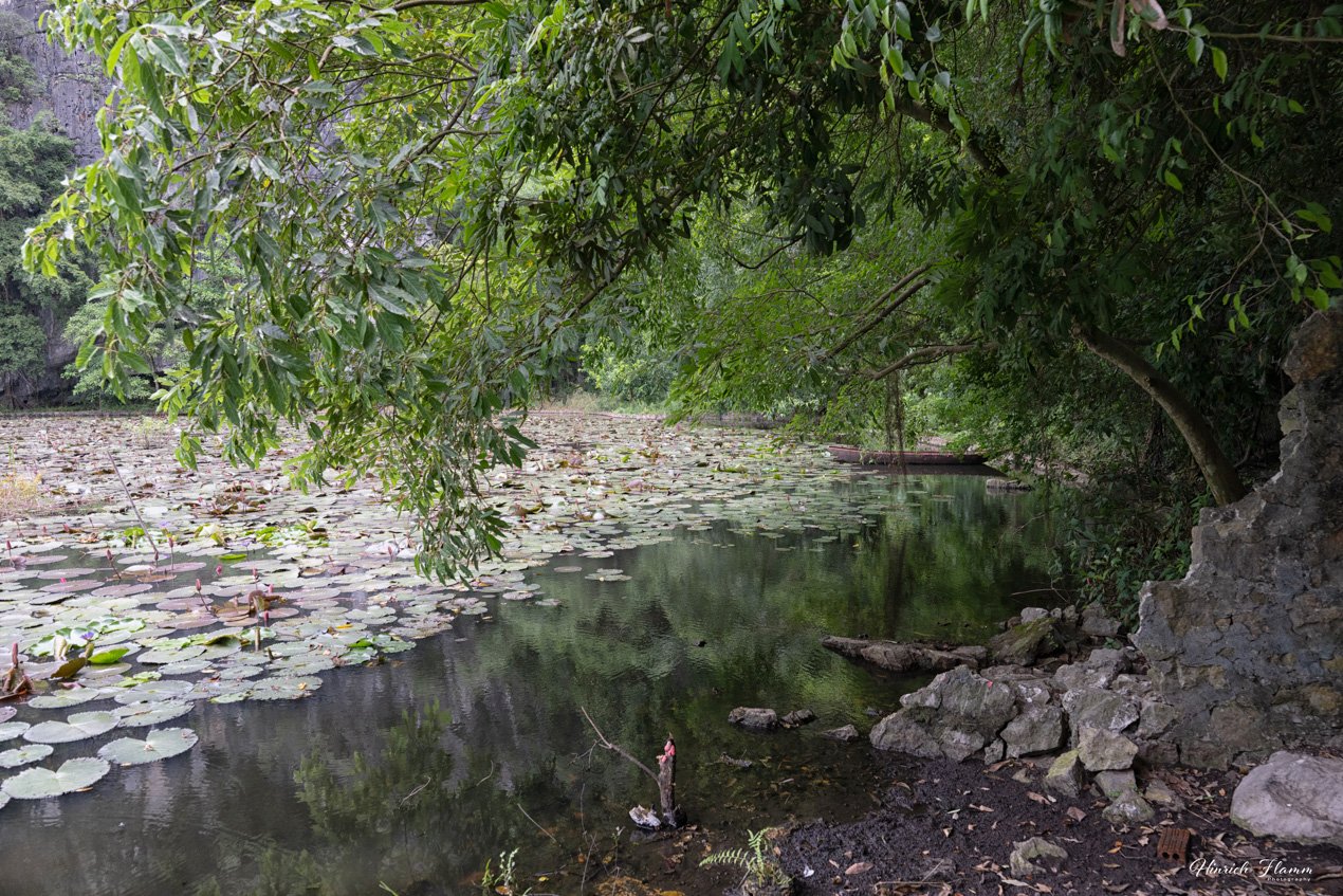 _DSC4332 copy.jpg