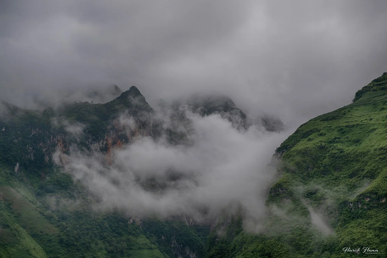 _DSC3654 copy.jpg
