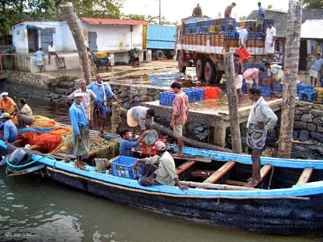 india 052 copy.jpg
