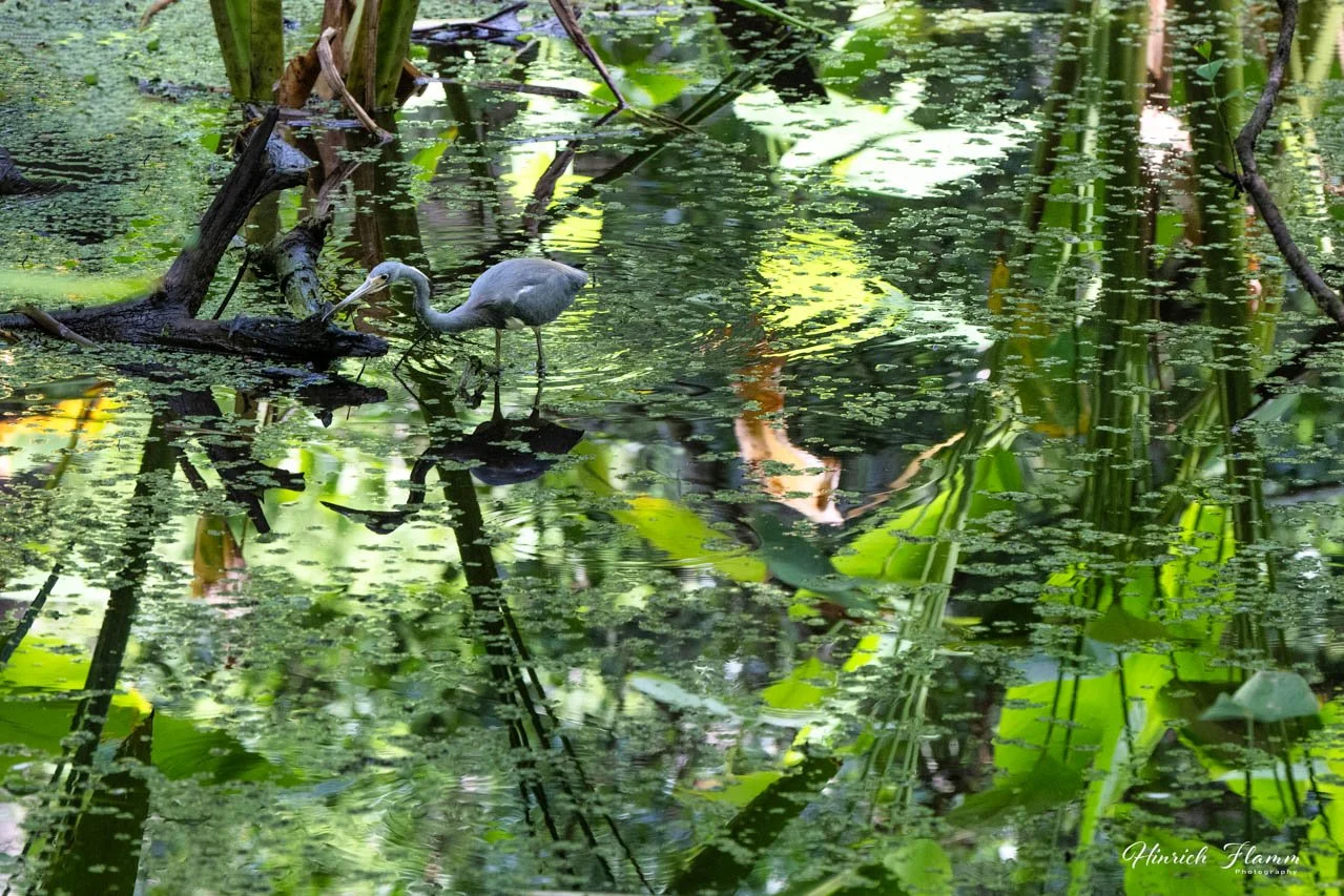 _2ZH0228 copy 2.jpg