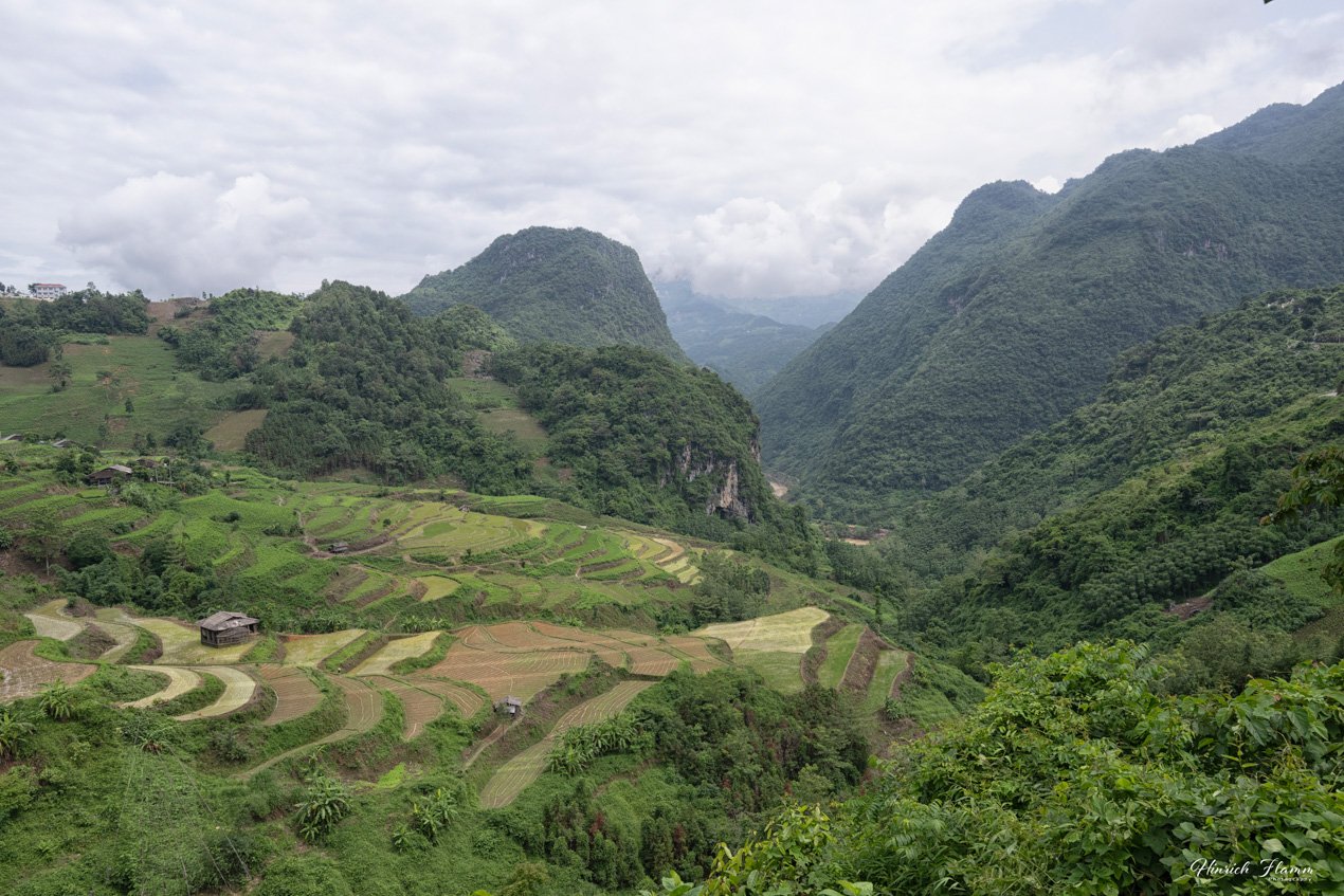 _DSC3711 copy.jpg