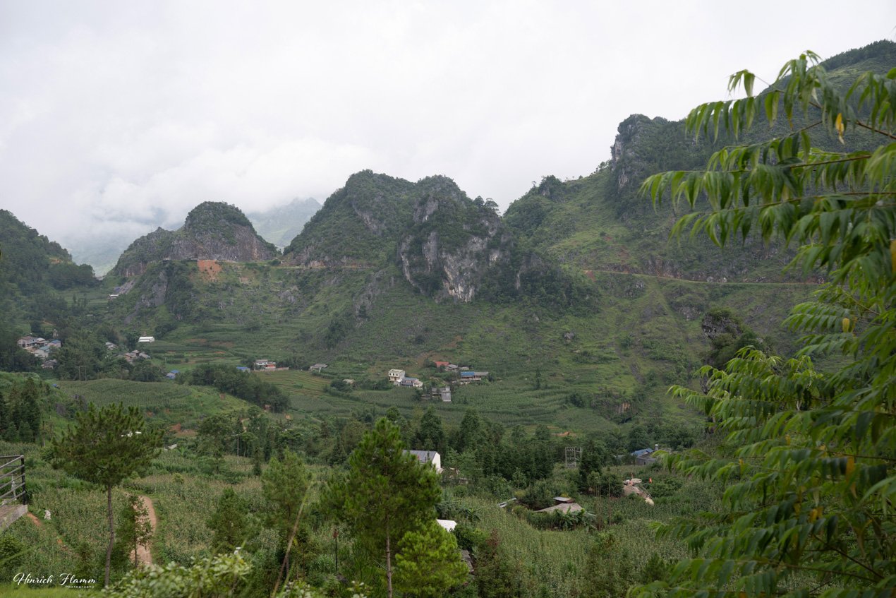 _DSC3546 copy.jpg