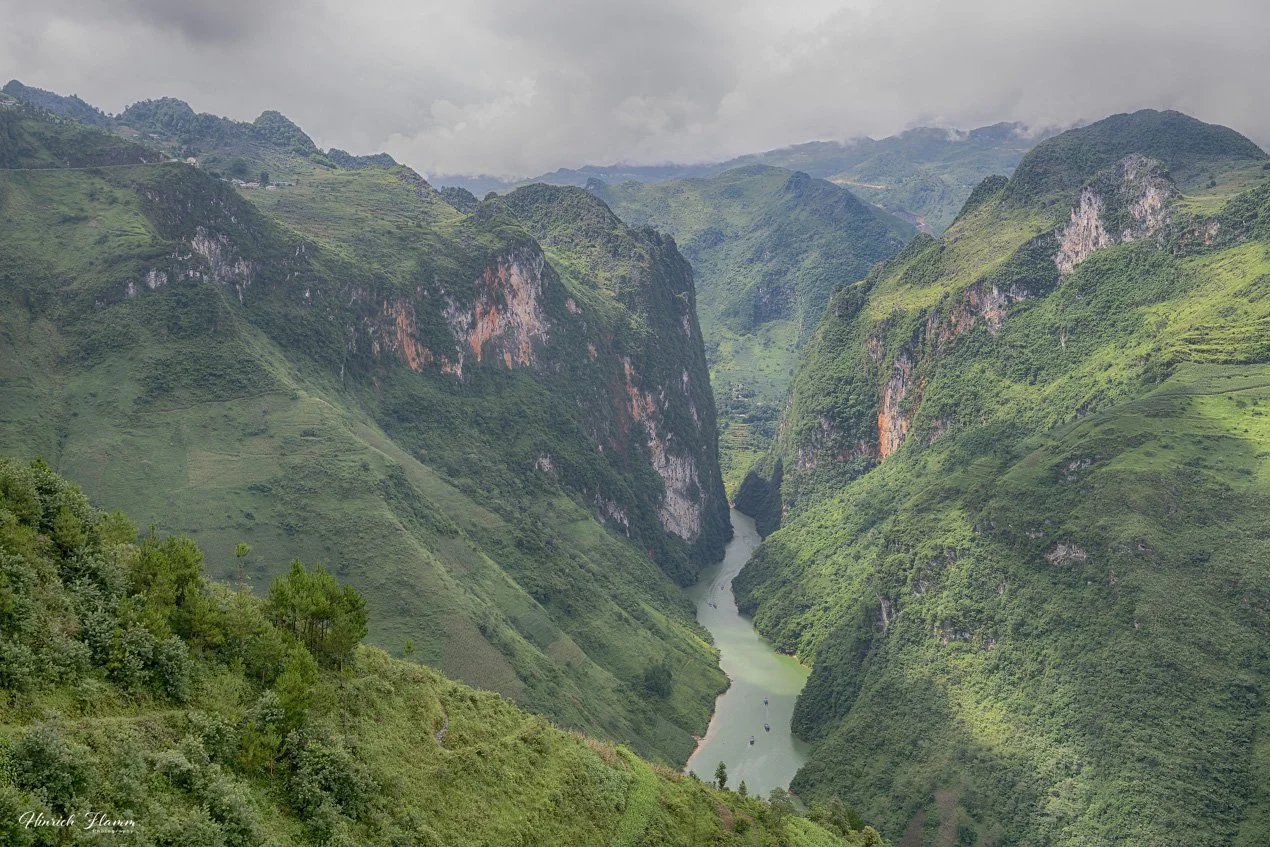 _DSC3664 copy.jpg