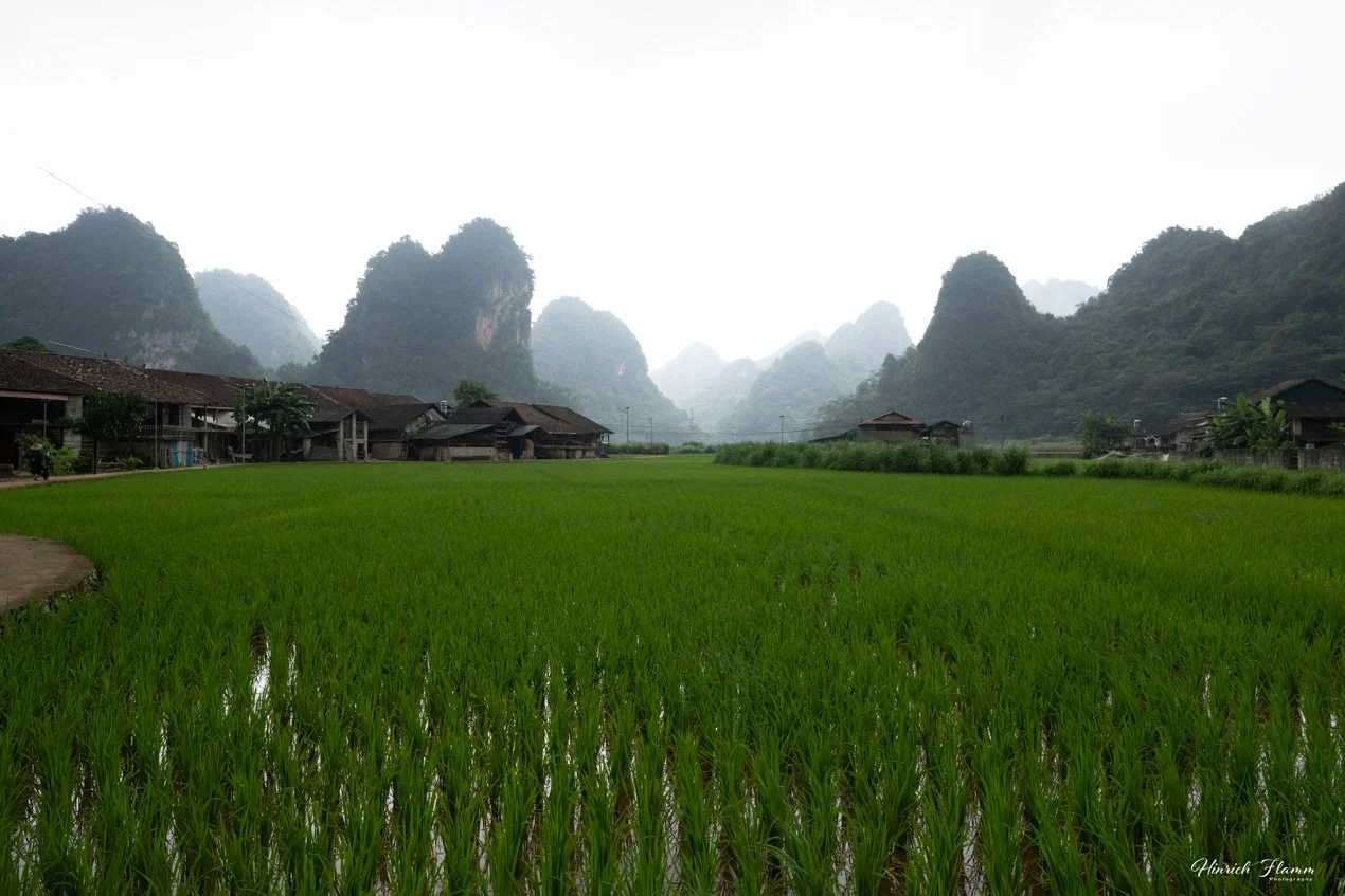 _DSC3826 copy.jpg