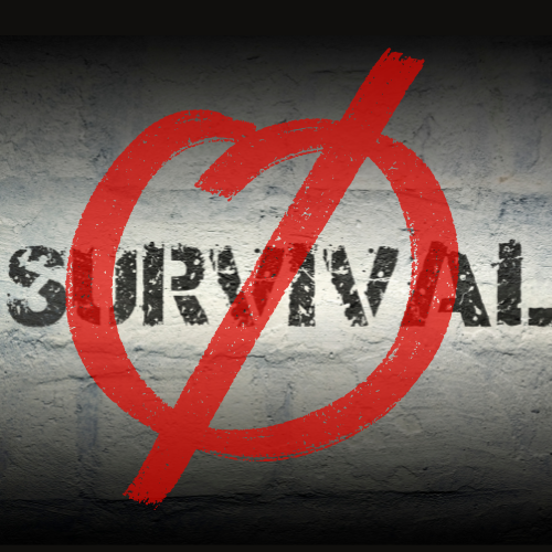 From SURVIVAL to SUPPORT