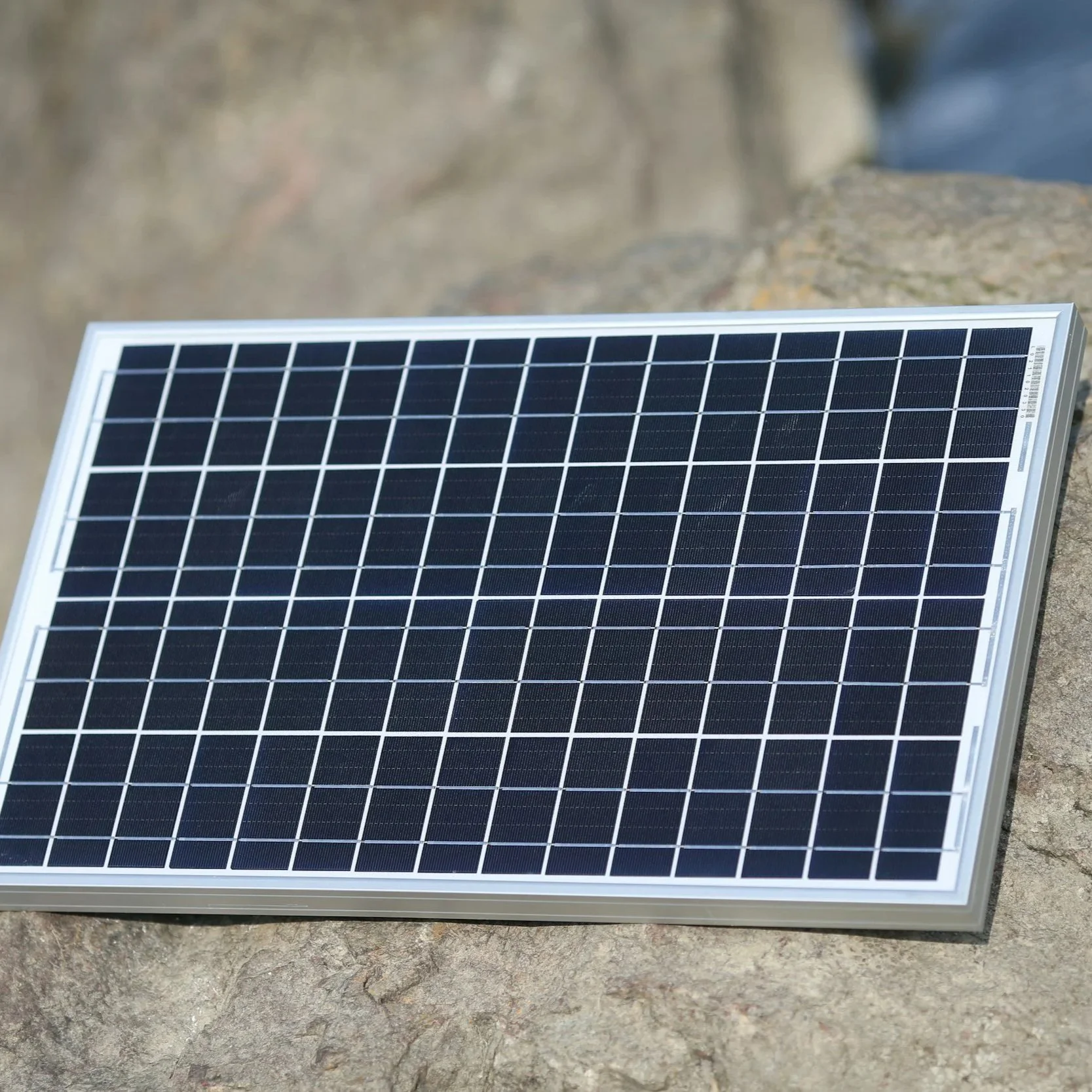 Harnessing Renewable Energy with Workhorse Solar Pumps