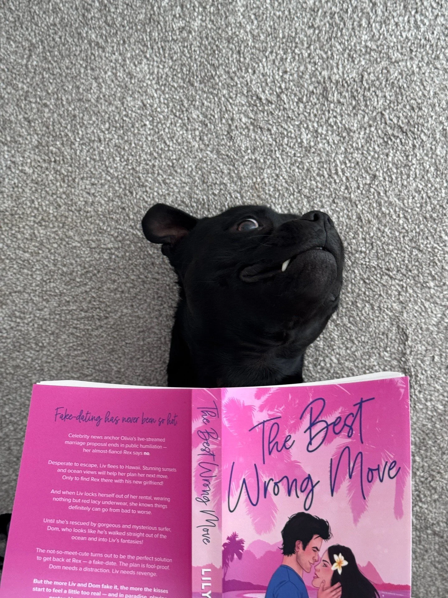 🐾📚 What are you currently reading? Archie&rsquo;s already swept away by The Best Wrong Move by Lily Parker &mdash; it's puppy love at first page! 🐶💕

Here&rsquo;s to a weekend filled with stolen glances, swoony chapters, and stories you won&rsquo
