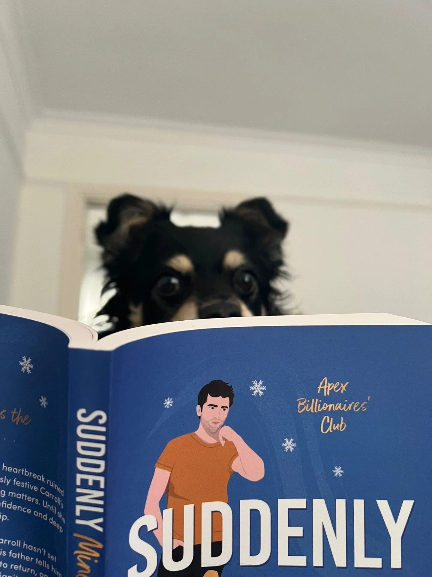 🐾📚 What are you currently reading? Scampers is snuggled up with Suddenly Mine by Katie Evergreen, a Christmas romance full of cozy Hallmark vibes! 🐶💖

Here&rsquo;s to a weekend filled with festive chapters, warm cocoa, and stories you won&rsquo;t