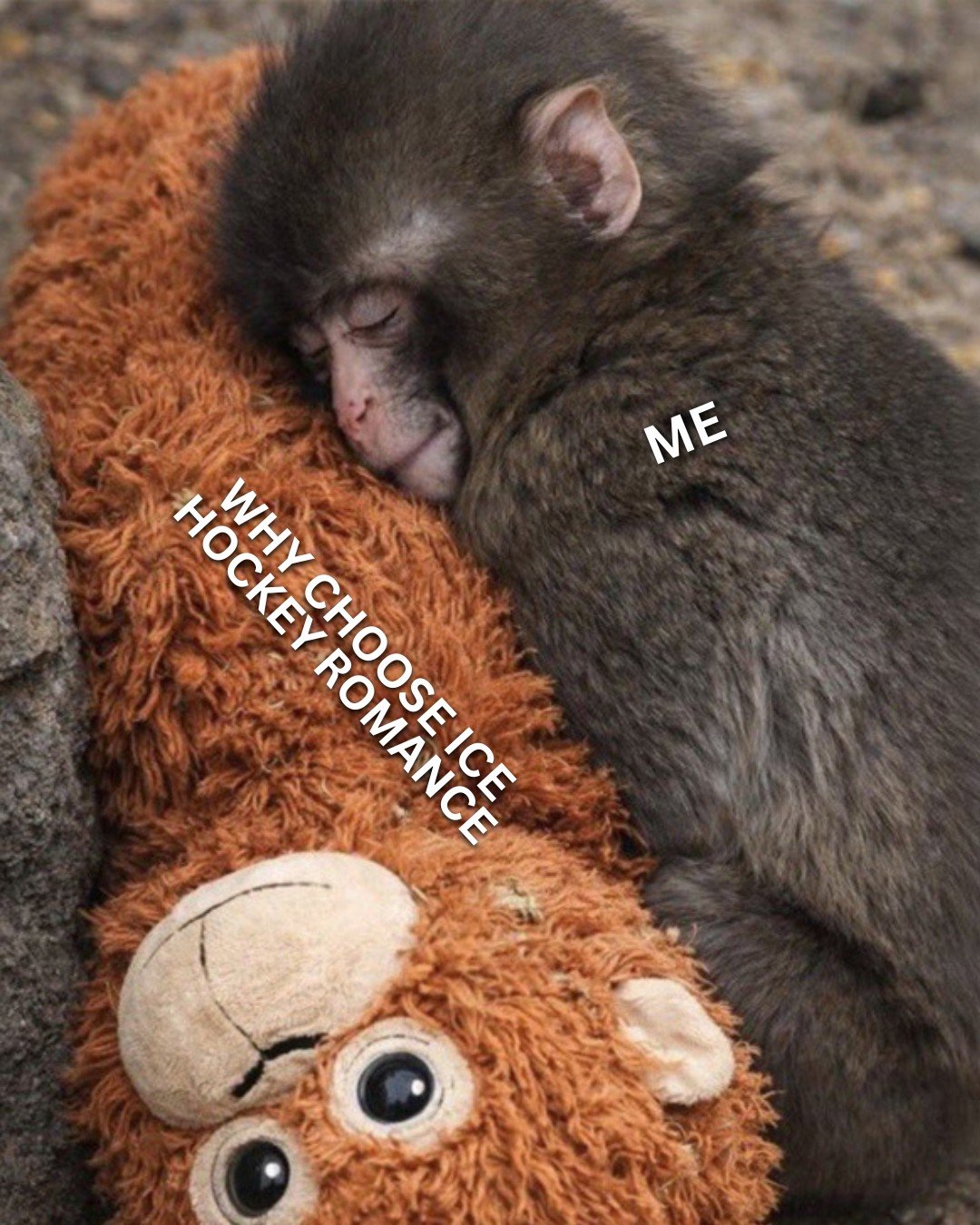 Feeling very much like Punch the monkey rn 😭

Which one can you relate to?

#punchthemonkey #whychoose #hockeyromance #onebedtrope #enemiestolovers