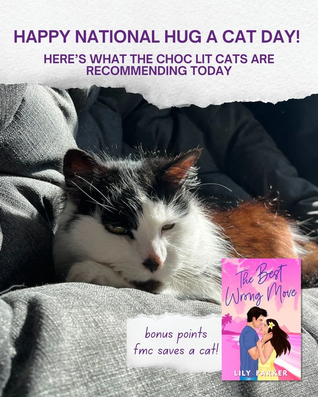 Happy National Hug a Cat Day! 🐱 
Which one would your cat choose? 

#nationalhugacatday #romancereads #romancebooks #readingcommunity #catsofinstagram
