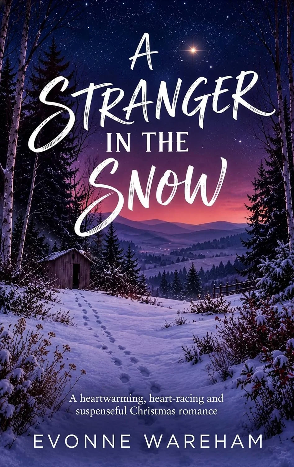 stranger in the snow.jpg
