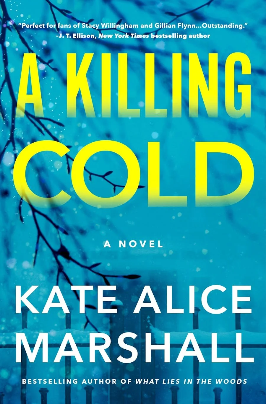 A Killing Cold by Kate Marshall