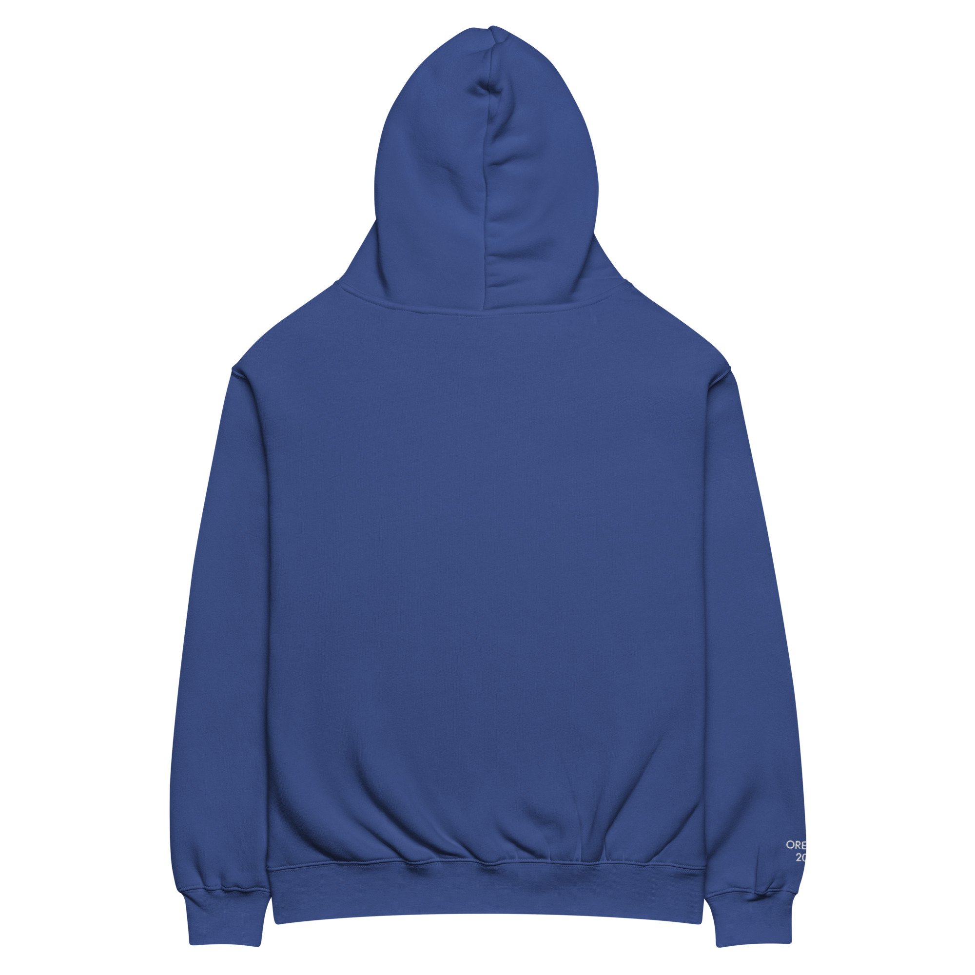 unisex-oversized-hoodie-cobalt-back-6865622d8e6a2.jpg