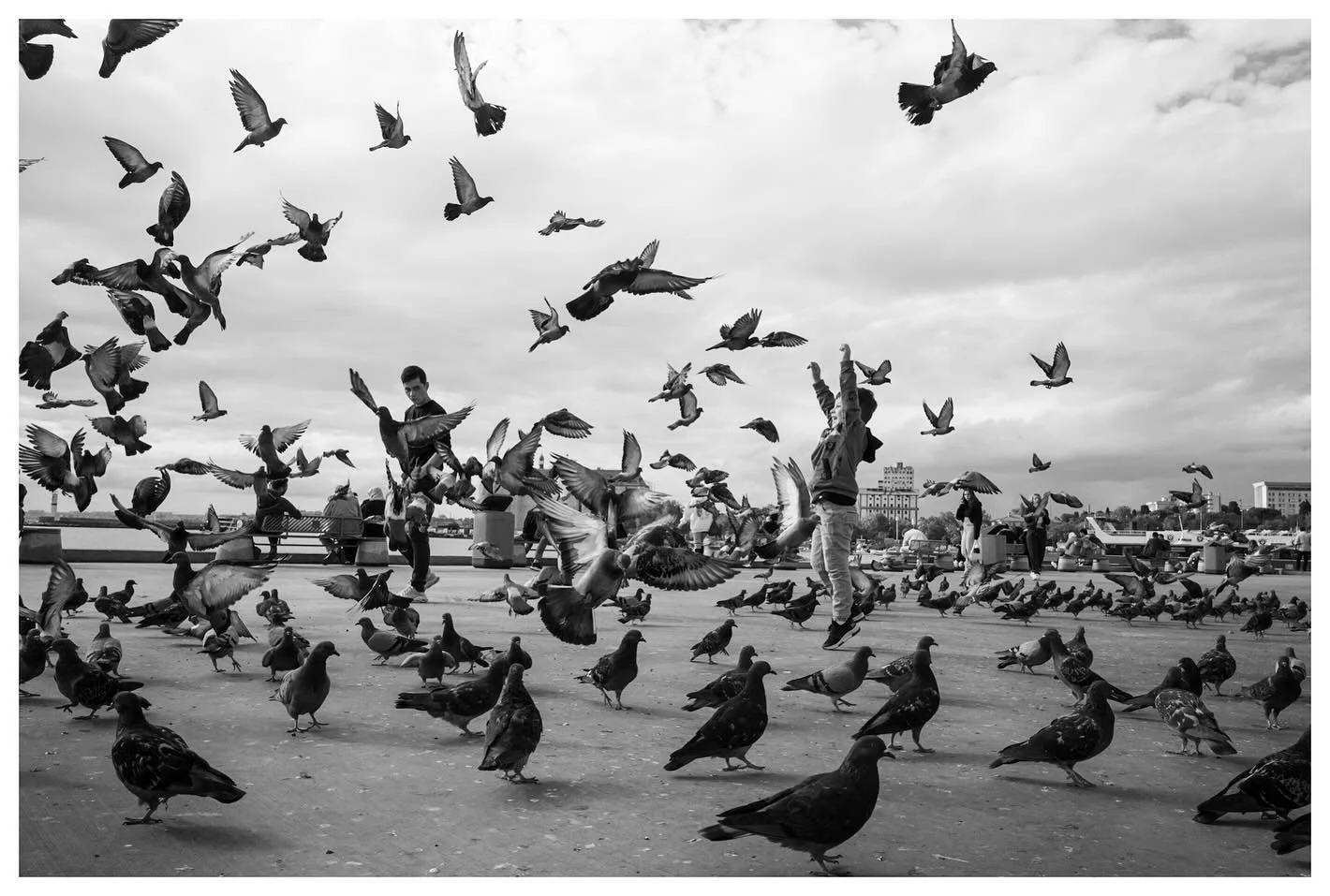 Feathers, breadcrumbs and play
.
.
.
.
.
.
.

#streetphotography
#thinkverylittle
#everybodystreet
#ourstreets
#street_me_up
#tdmmag
#street_avengers
#bnw_demand
#dreaminstreets
#SPiCollective
#SPi_Animals
#SPi_Action
#tdmmag
#streetphotographers
#my